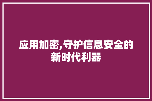 应用加密,守护信息安全的新时代利器