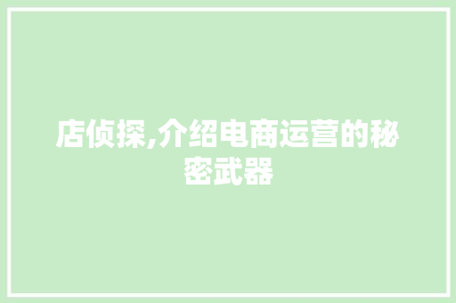 店侦探,介绍电商运营的秘密武器