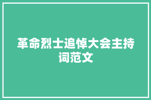 店铺号的力量,解码数字时代的商业密码