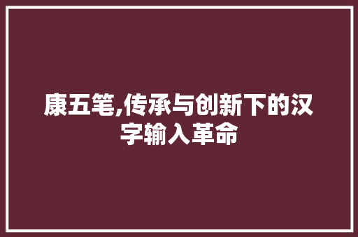 康五笔,传承与创新下的汉字输入革命