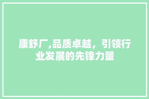 康舒厂,品质卓越，引领行业发展的先锋力量