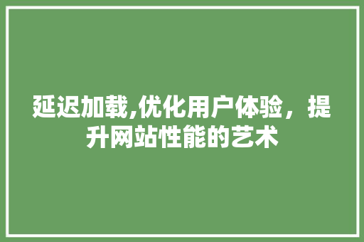延迟加载,优化用户体验，提升网站性能的艺术