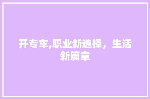 开专车,职业新选择，生活新篇章