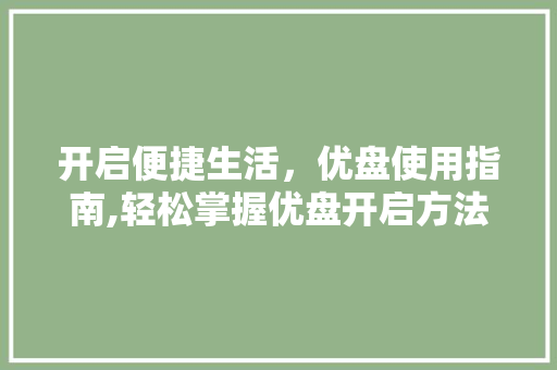 开启便捷生活，优盘使用指南,轻松掌握优盘开启方法