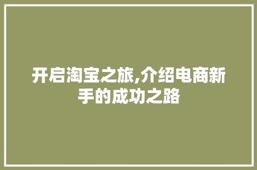 开启淘宝之旅,介绍电商新手的成功之路