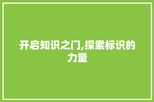 开启知识之门,探索标识的力量
