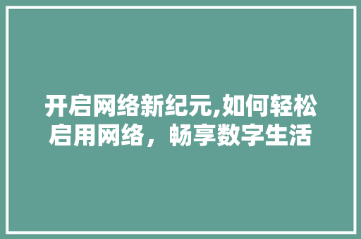 开启网络新纪元,如何轻松启用网络，畅享数字生活