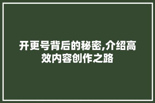 开更号背后的秘密,介绍高效内容创作之路 SEO教程