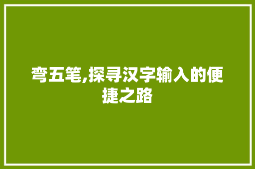 弯五笔,探寻汉字输入的便捷之路