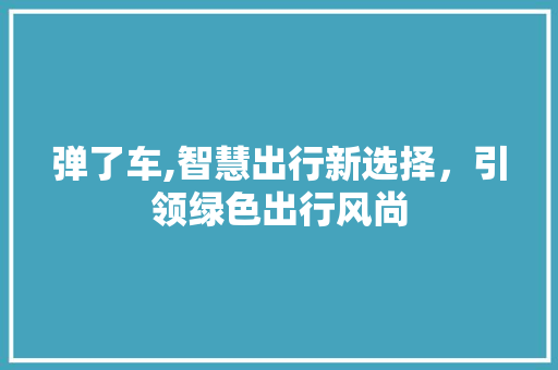 弹了车,智慧出行新选择，引领绿色出行风尚