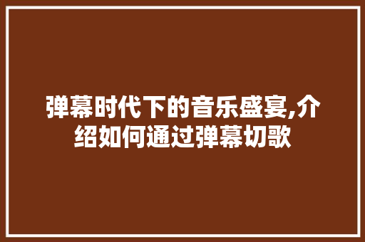 弹幕时代下的音乐盛宴,介绍如何通过弹幕切歌