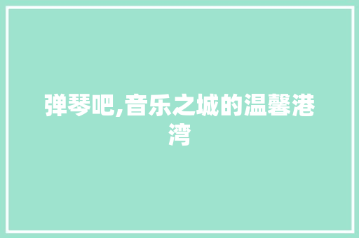 弹琴吧,音乐之城的温馨港湾