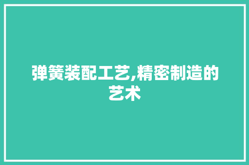 弹簧装配工艺,精密制造的艺术 服务器/数据库