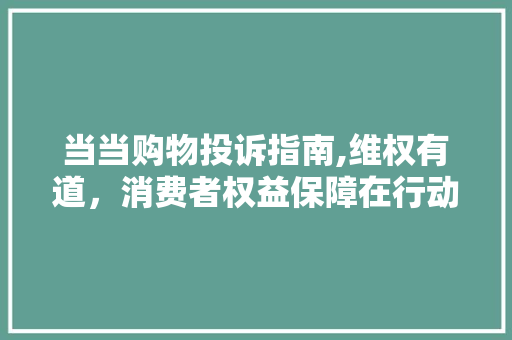 当当购物投诉指南,维权有道，消费者权益保障在行动 Web前端