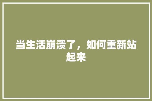 当生活崩溃了，如何重新站起来