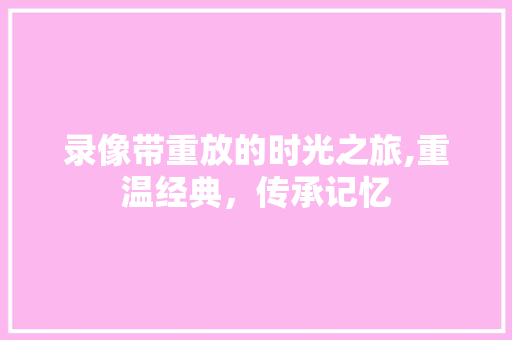 录像带重放的时光之旅,重温经典，传承记忆