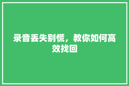 录音丢失别慌，教你如何高效找回