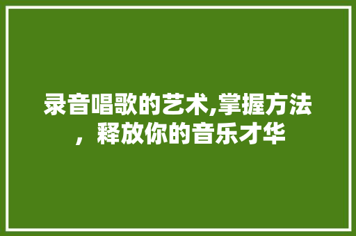 录音唱歌的艺术,掌握方法，释放你的音乐才华