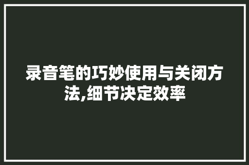 录音笔的巧妙使用与关闭方法,细节决定效率