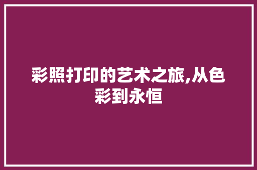彩照打印的艺术之旅,从色彩到永恒 服务器/数据库