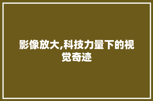 影像放大,科技力量下的视觉奇迹