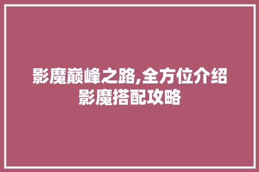 影魔巅峰之路,全方位介绍影魔搭配攻略