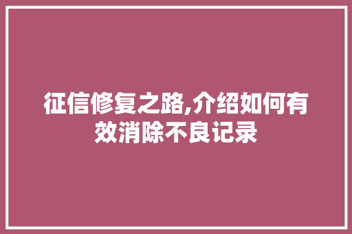 征信修复之路,介绍如何有效消除不良记录