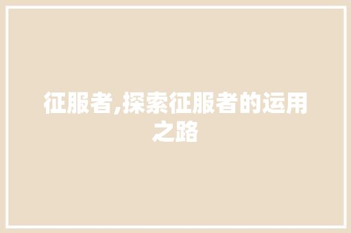 征服者,探索征服者的运用之路