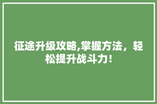 征途升级攻略,掌握方法，轻松提升战斗力！