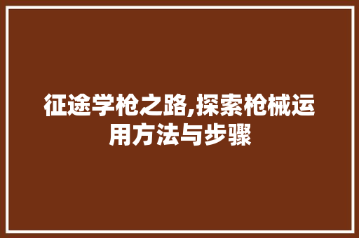 征途学枪之路,探索枪械运用方法与步骤