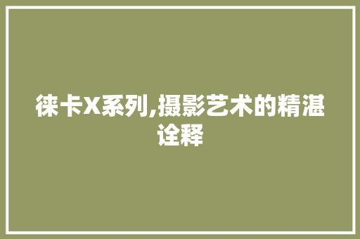 徕卡X系列,摄影艺术的精湛诠释