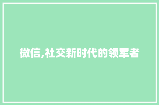 微信,社交新时代的领军者