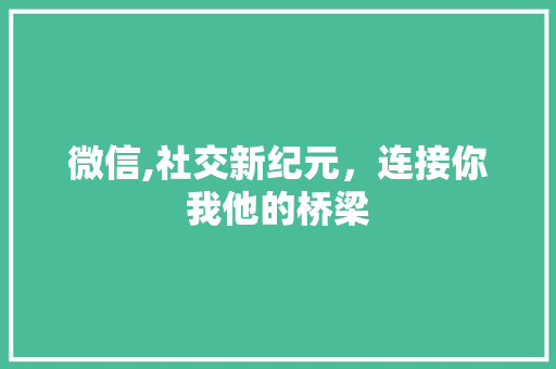 微信,社交新纪元，连接你我他的桥梁