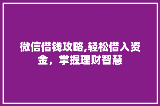 微信借钱攻略,轻松借入资金，掌握理财智慧 服务器/数据库