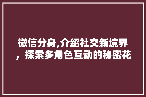微信分身,介绍社交新境界，探索多角色互动的秘密花园