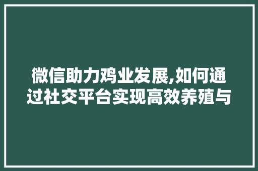 微信助力鸡业发展,如何通过社交平台实现高效养殖与营销