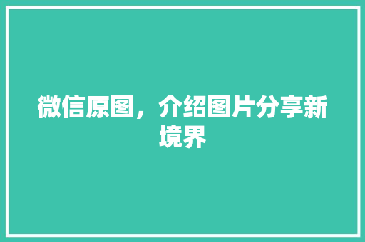 微信原图，介绍图片分享新境界