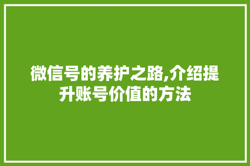 微信号的养护之路,介绍提升账号价值的方法