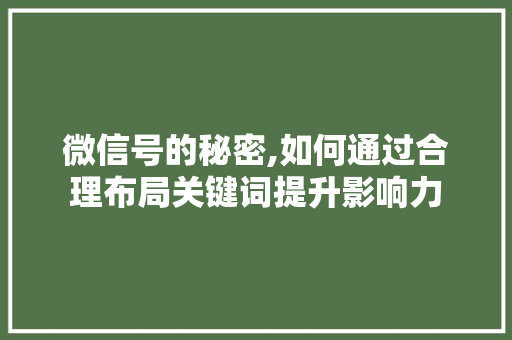 微信号的秘密,如何通过合理布局关键词提升影响力