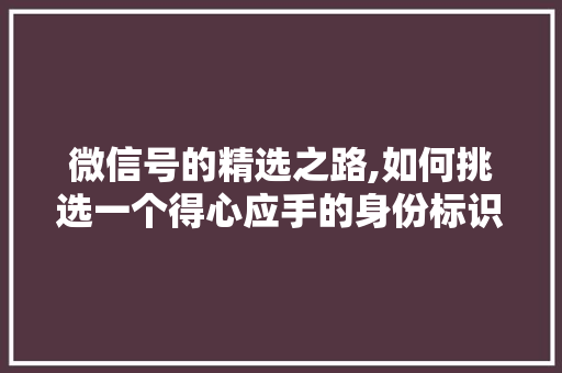 微信号的精选之路,如何挑选一个得心应手的身份标识