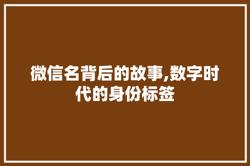 微信名背后的故事,数字时代的身份标签