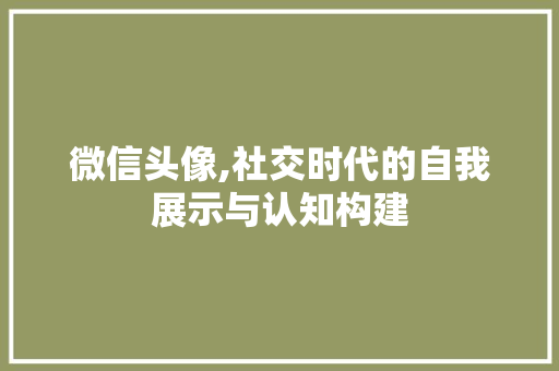 微信头像,社交时代的自我展示与认知构建 建站教程