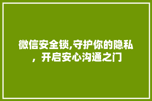 微信安全锁,守护你的隐私，开启安心沟通之门