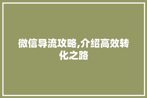 微信导流攻略,介绍高效转化之路