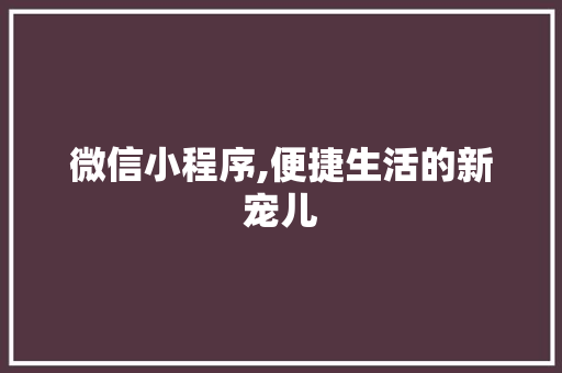 微信小程序,便捷生活的新宠儿