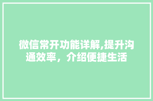 微信常开功能详解,提升沟通效率，介绍便捷生活