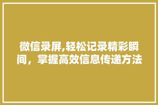 微信录屏,轻松记录精彩瞬间，掌握高效信息传递方法