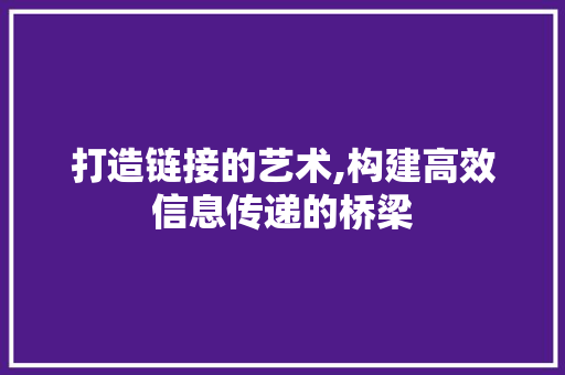打造链接的艺术,构建高效信息传递的桥梁