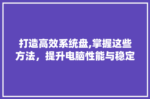 打造高效系统盘,掌握这些方法，提升电脑性能与稳定性