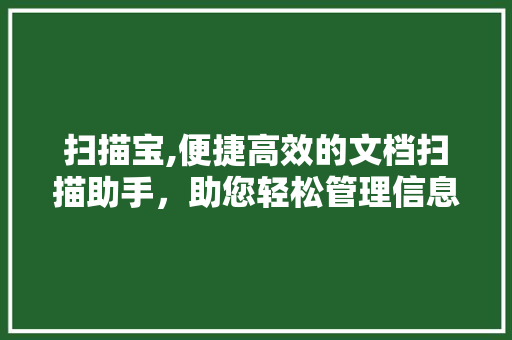 扫描宝,便捷高效的文档扫描助手，助您轻松管理信息